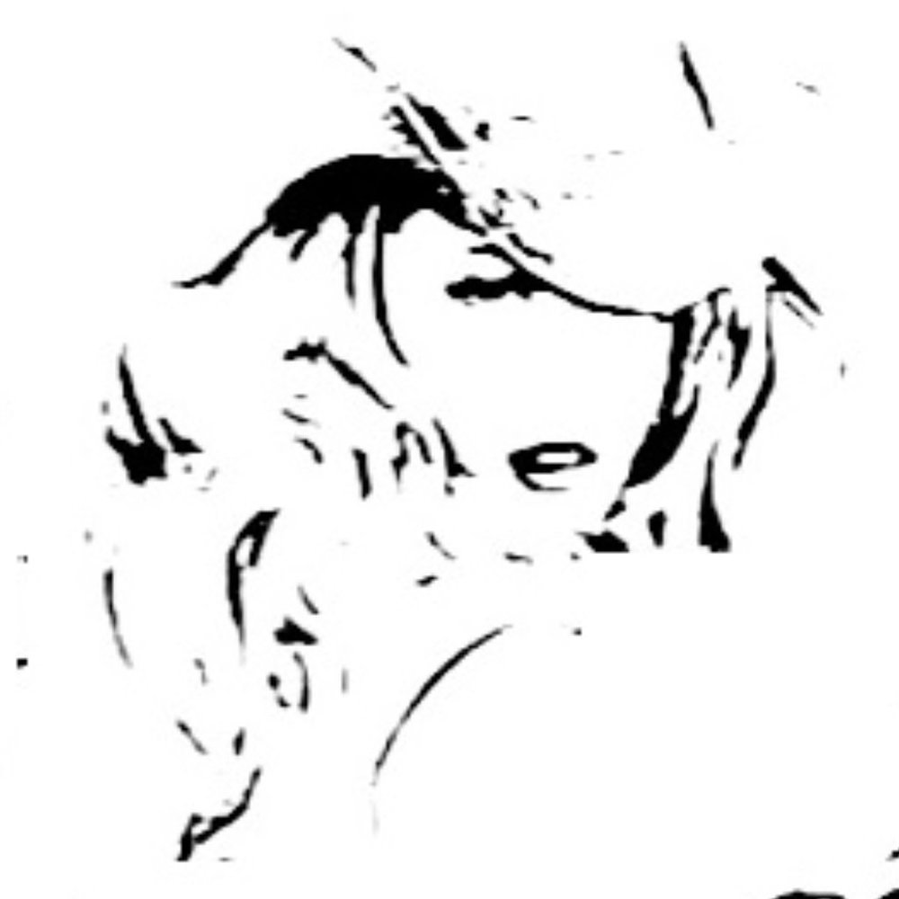 Meet your Posher, The Wild West Emporium & Apothecary.